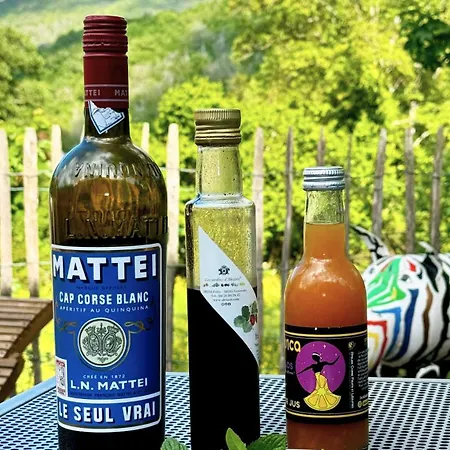 A Bella Scusa Bastelica