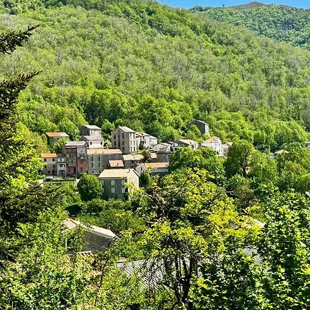 A Bella Scusa Bed and breakfast Bastelica