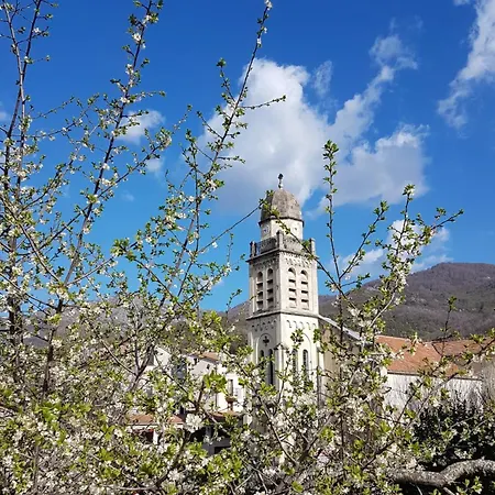 A Bella Scusa Bed & Breakfast