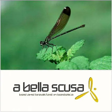 Bed & Breakfast A Bella Scusa 3*
