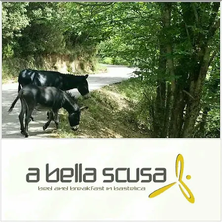 Frühstückspension A Bella Scusa Bastelica