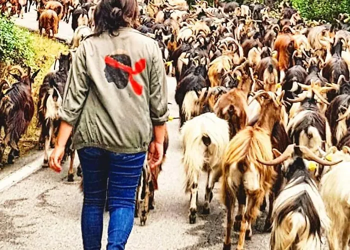 Bed & Breakfast A Bella Scusa