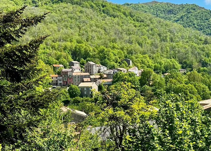 A Bella Scusa Bed & Breakfast Bastelica