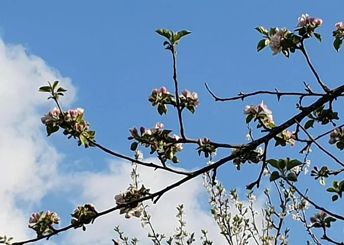 Bed & Breakfast A Bella Scusa