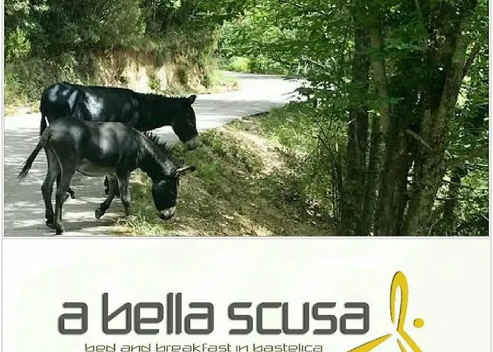 Bed & Breakfast A Bella Scusa Bastelica